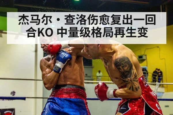boxer knockout punch